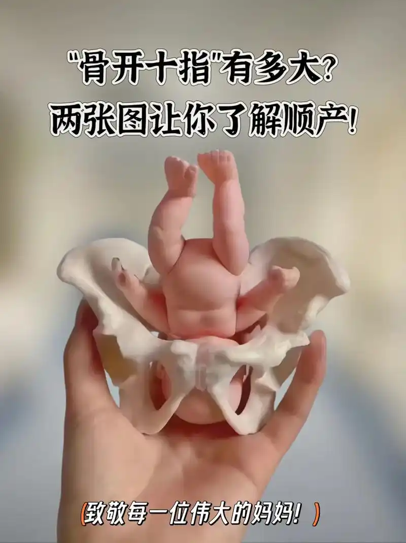 两张图带你了解顺产开指!