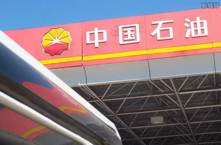 中石油加油站买大米开出汽油发票