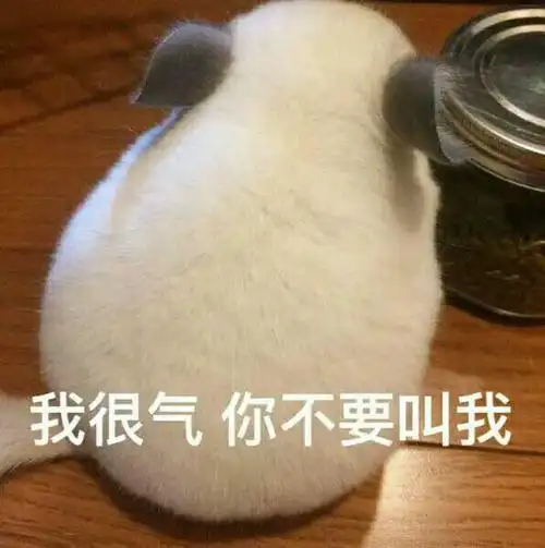 撩男朋友的猫咪搞笑表情包30张