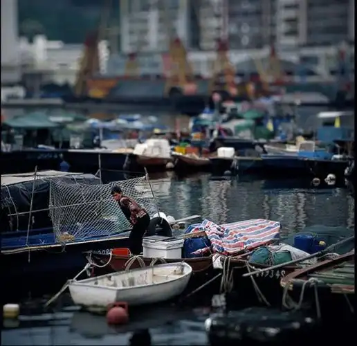 郑中基:tinyeyes的多重身份