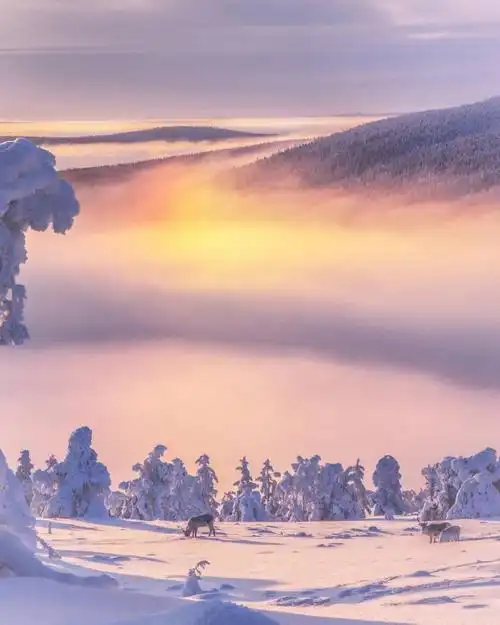 芬兰冬日唯美雪景风光,图片大全,高清,图库-回车桌面