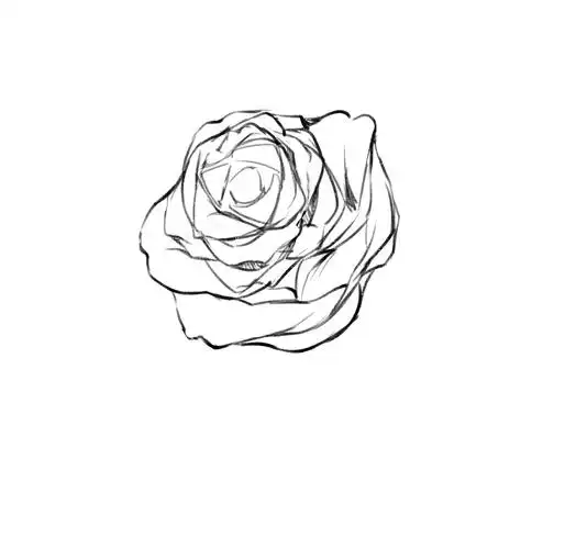 【绘画教程】一分钟教你画出美丽的蔷薇花!