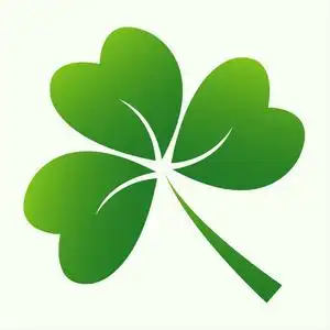 叶的三叶草照片