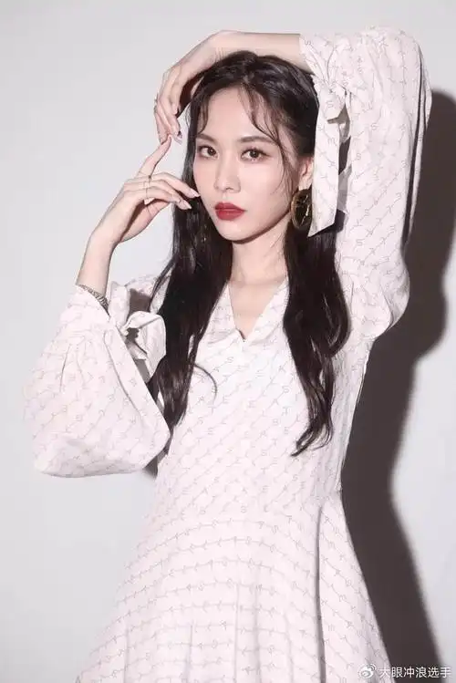 在2016年,王霏霏在微博上对中国南海事件发表了支持的言论,强调中国在