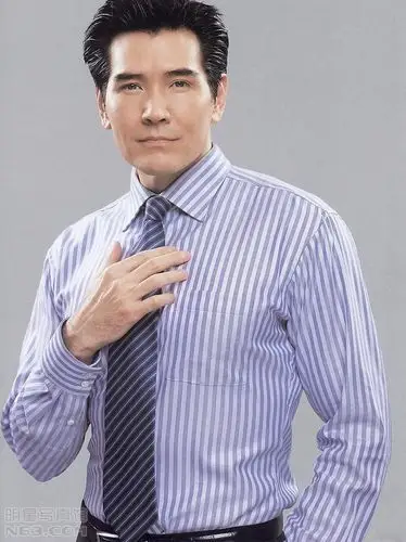 费翔写真图片-自制960x640壁纸.大图-明星写真馆n63.com