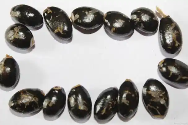 药珀,又称药用琥珀,是一种具有药用价值的天然矿石.