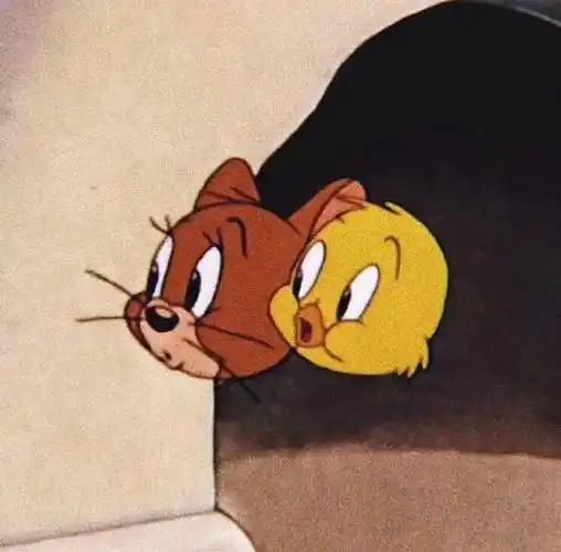 头像|wechat优质高清头像_山林_四季_宇宙