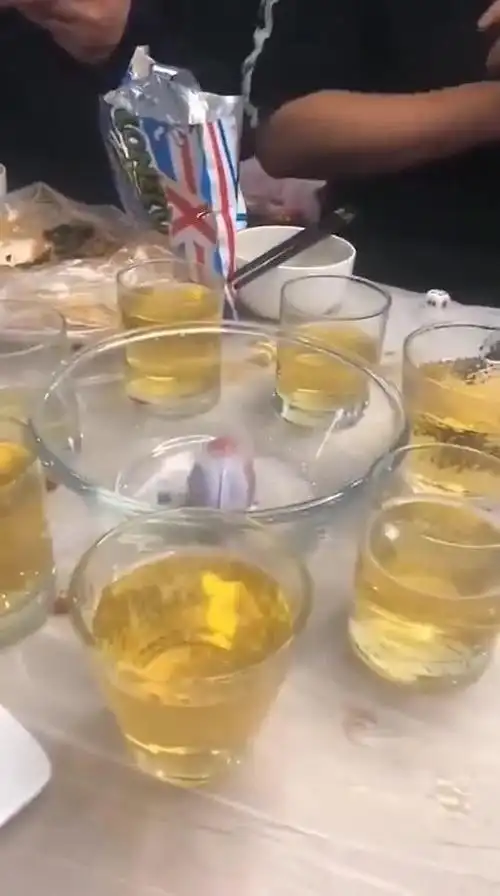 这样的喝酒方式很公平