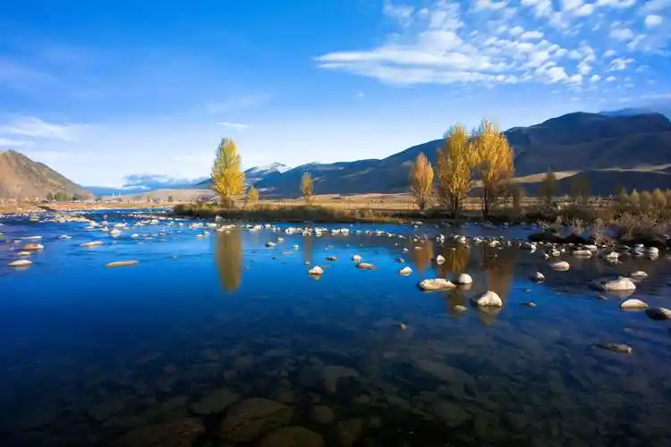 八美镇海拔多少米