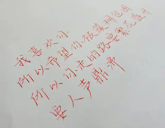 可是还是会错过的那些年而流泪#某某  #某某经典语录  #手写文案