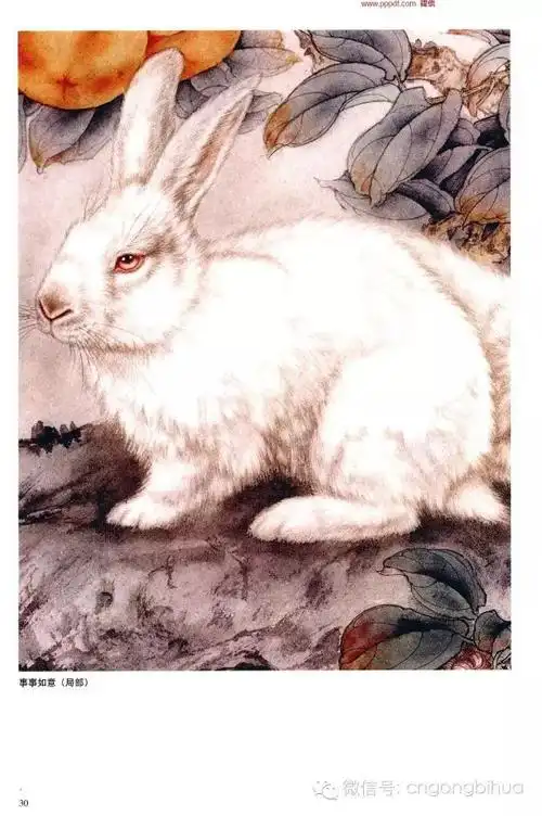 书画鉴赏丨工笔兔子画法