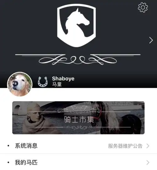 坐车坐船坐飞机,总是那么平稳那么不透气,早闷了吧,来换匹马试试.