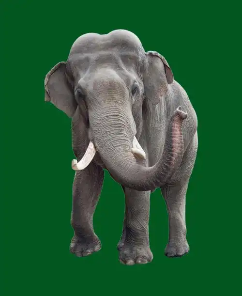 v10 ps白班小组 【长沙岳麓】20191017v10平面ps白班 基础抠图 海报