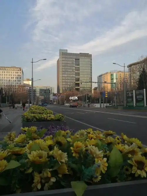 中关村西区的辞旧迎新年