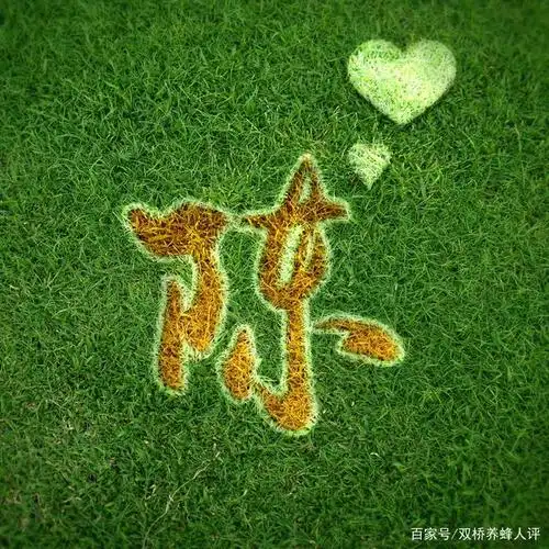 你该换头像了,三十张特效3d版微信头像,姓名姓氏头像,有你要的