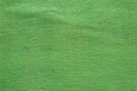 古代格格粗糙的绿色纸张纹理.抽象的格格格背景.粗细节颗粒图案照片