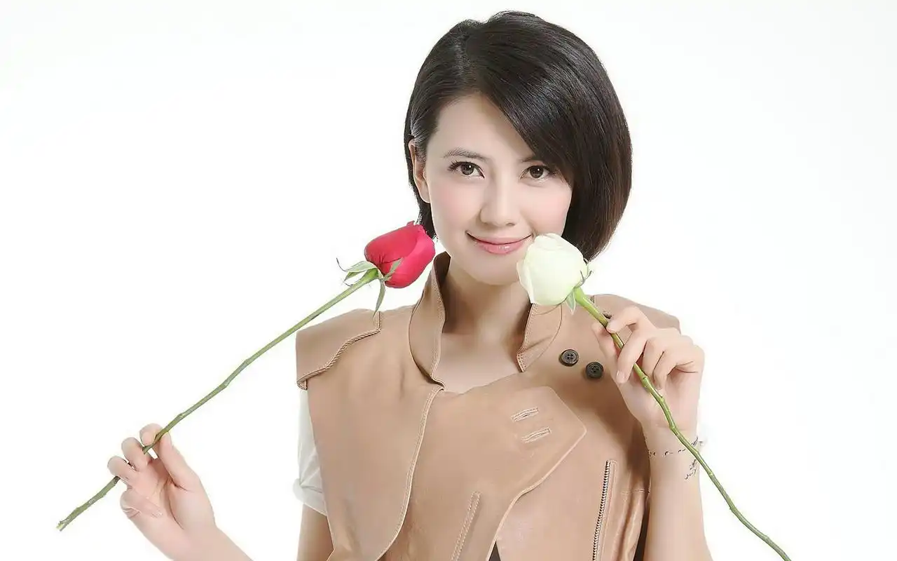 高圆圆桌面壁纸之靓丽气质美女高清大图预览1920×1200_大陆明星下载