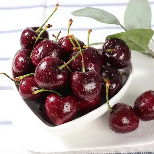 五个农民智利进口车厘子jjj级2斤装新鲜水果年货送礼