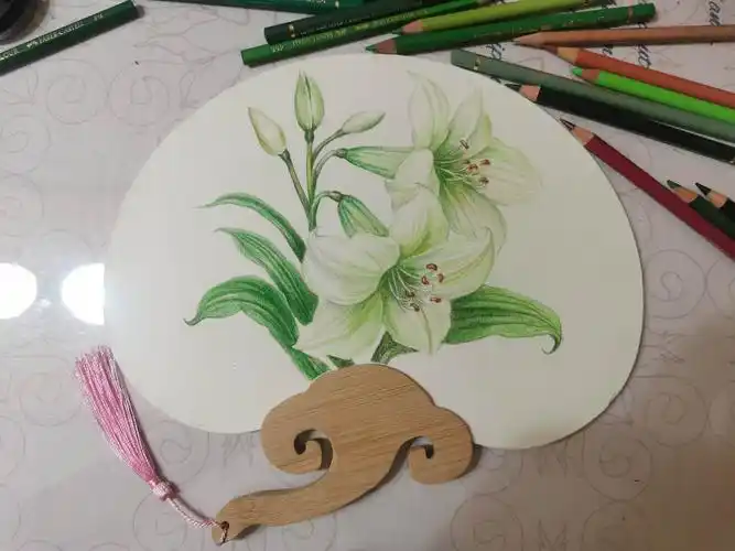 彩铅绘～百合如意扇