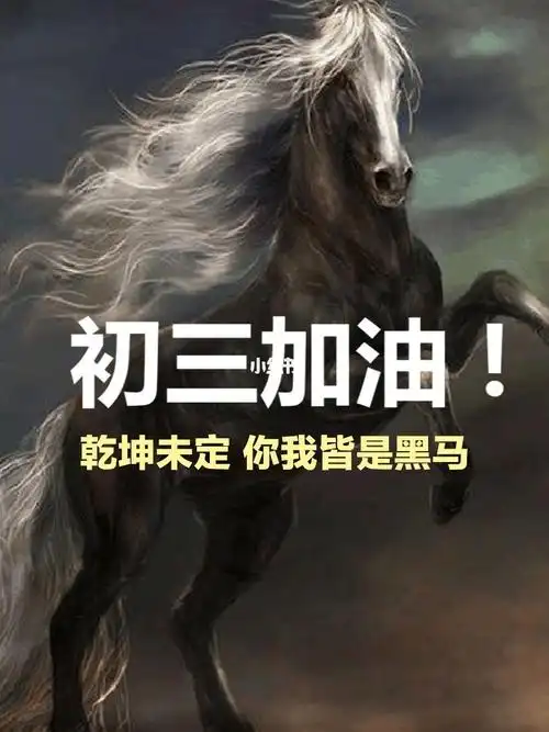 初三的你该努力了初三逆袭励志初三加油