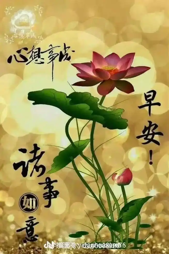 阿弥陀佛 #早安吉祥 #时来运转 #国泰民安祈福 #阳76光 - 抖音