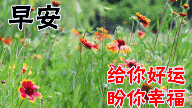 12月26日最漂亮早上好动态表情图片大全早晨好动图美图大全