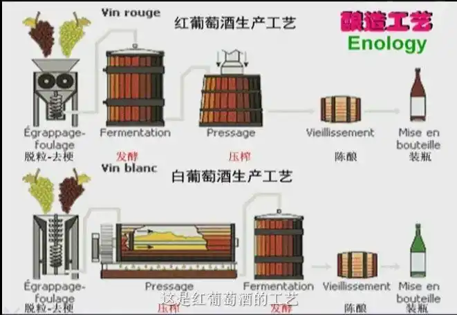葡萄酒工艺winetechnology