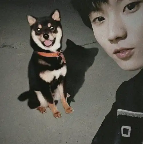 柴六斤超话98#柴六斤 柴中顶流#"六斤快看你好