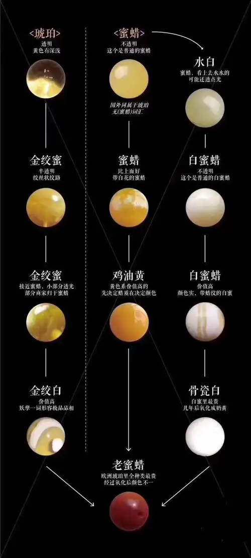 金绞蜜属于哪个等级?