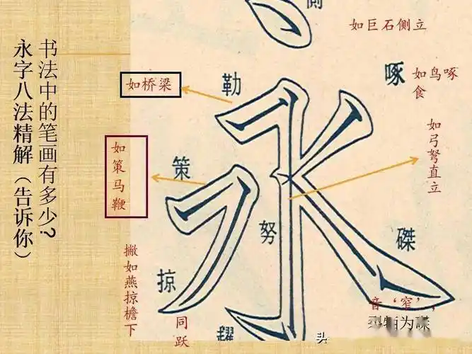 楷书八个基本笔画运笔步骤书法课件ppt155页讲座搞起来