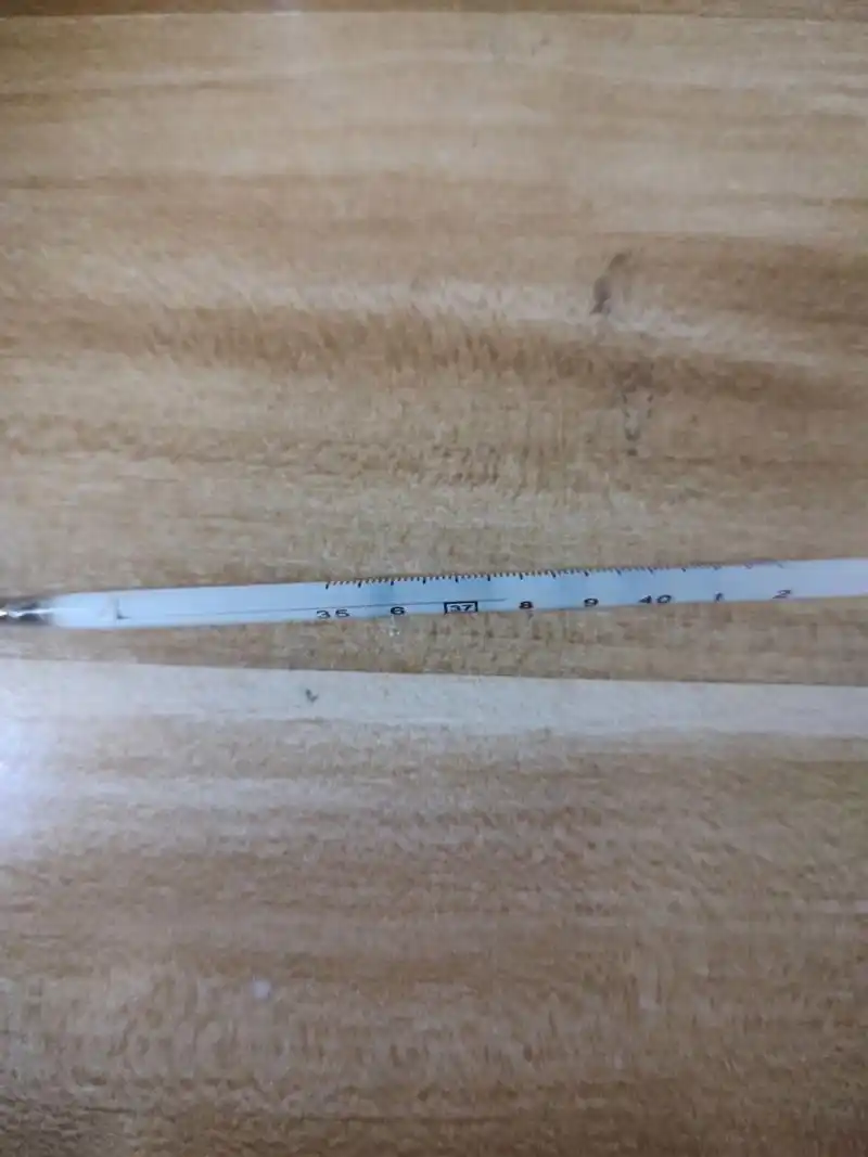 水银体温计 姐妹们,这是37.7吗?
