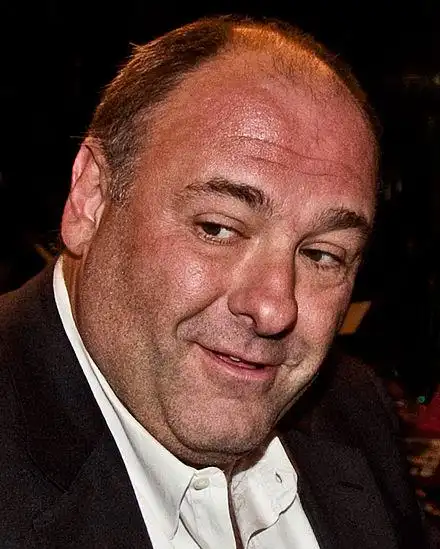 as tony soprano, an italian-american crime boss and he garnered