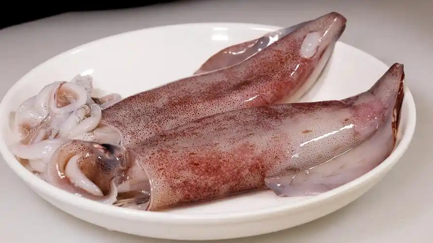 鱿鱼皮下的黄点属于鱿鱼的卵,也有可能是鱿鱼的腺体.