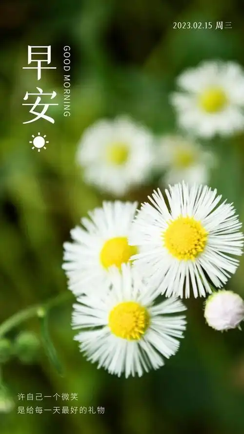 适合发微信朋友圈的心情短语配图,总有一句说到心坎上!