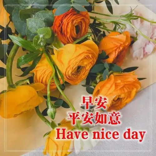 闪动的初冬早上好图片带祝福语2022鲜花早安问候语表情图