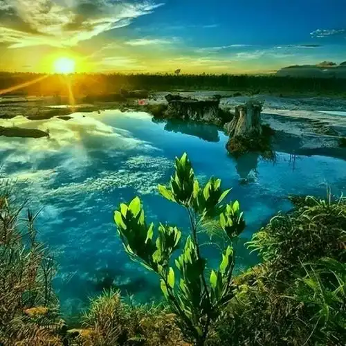 四十岁女人淡雅气质网名,适合四十岁女人的微信名?_玄禅起名网