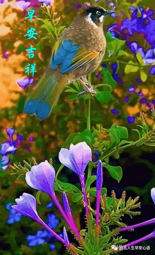 20206110617星期三《早安30心语》∮_手机搜狐网