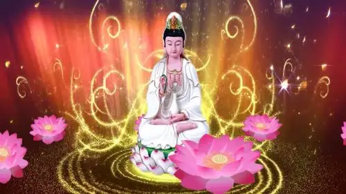 申请光厂帮我买单