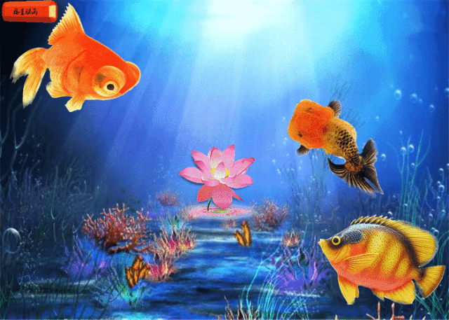 华文视讯@海上风&配乐朗诵《鱼儿和水的故事》作者:追梦/编配:重生