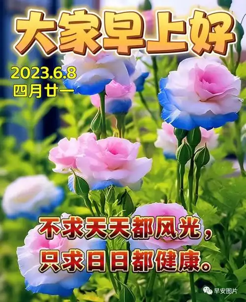 开心快乐每一天!祝您平安!早上好!