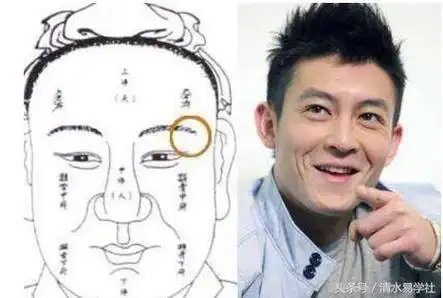 桃花多的男人面相_男人浓眉桃花眼的面相_面带桃花的男人面相