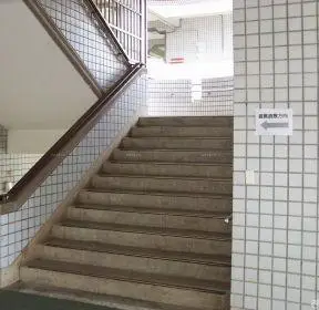 大型小学学校楼梯装修实景图-每日推荐