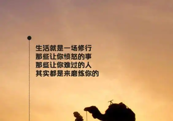 感悟生活现实的句子,句句真谛,道出人生哲理