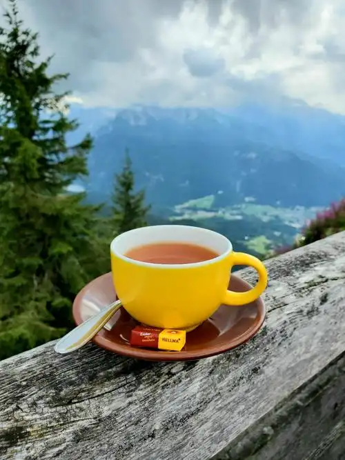 貌似论坛首发平平淡淡但又挺好的萨尔茨堡会议中心温德姆大酒店