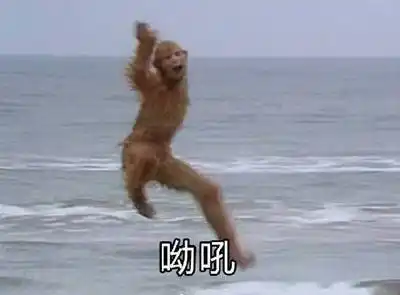 呦吼(孙猴子) - 尬哈表情包了解一下? 67_哈哈哈表情