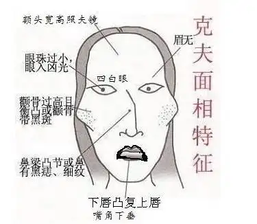女人极贵的面相和体相长这样