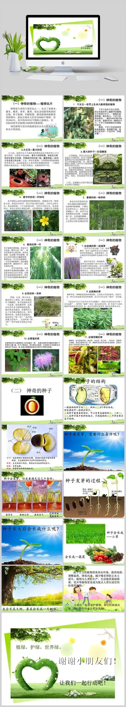 家长进课堂神奇的植物ppt模板