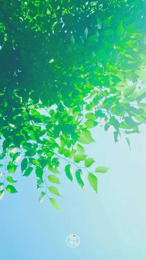 android壁纸 小清新 欧美 平铺 壁纸 皮肤 纯色 桌面 手机桌面 锁屏