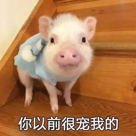 天天想着撩男朋友结果反被撩附表情包合集