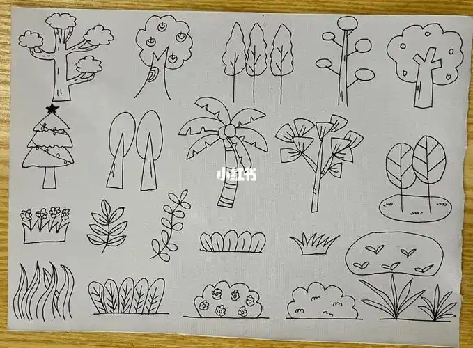 幼师考编简笔画之花草树木练习